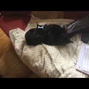 Meet your Posher, Cynthia